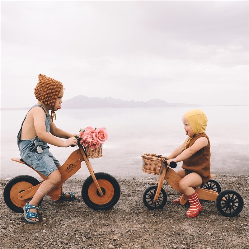 Tricicle -Bici Tiny Tot 2 en 1