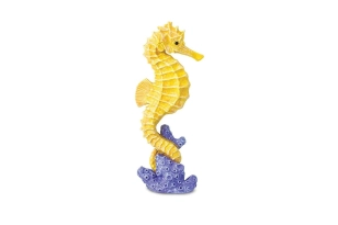 Cavall de mar Safari Ltd.