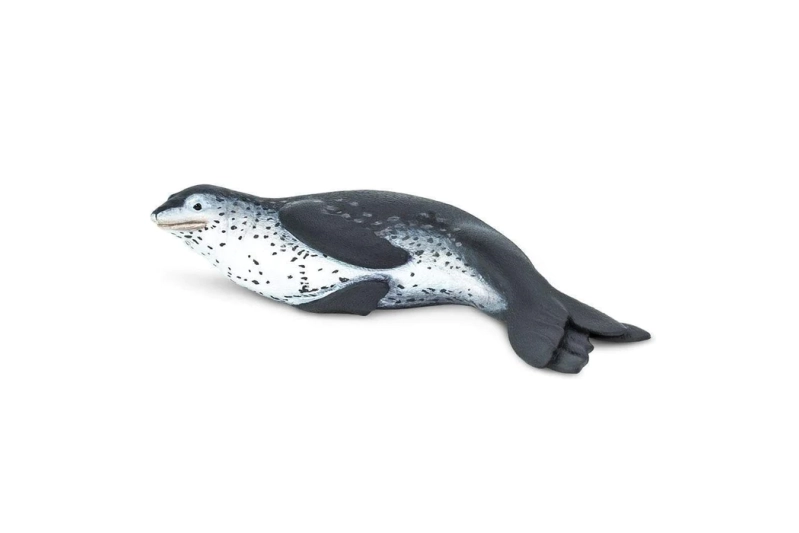 Foca lleopard Safari Ltd.