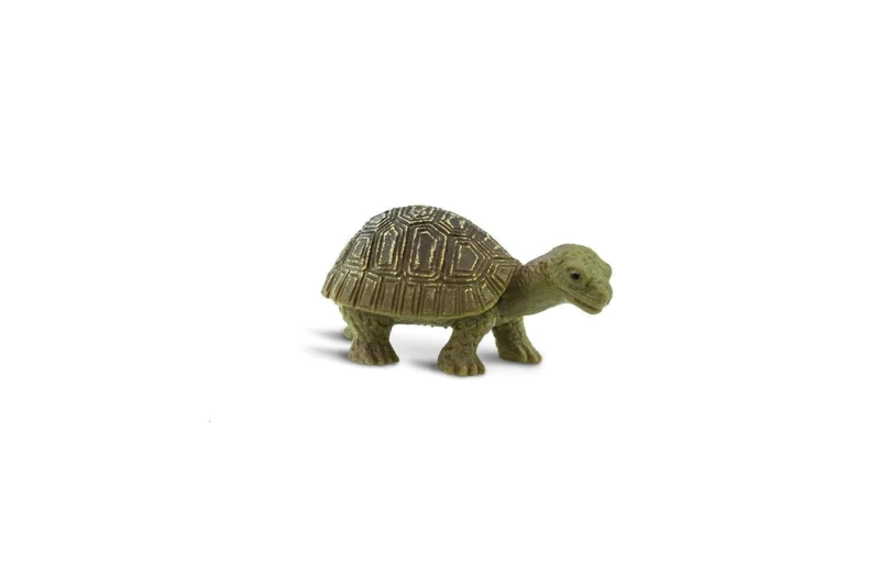 Mini tortuga de goma