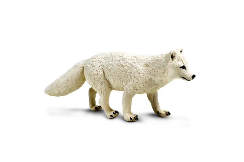 Zorro ártico Safari Ltd.