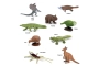 Tubo de 9 animales de Australia y Nueva Zelanda