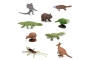 Tubo de 9 animales de Australia y Nueva Zelanda