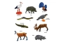 Tubo de 9 animales europeos