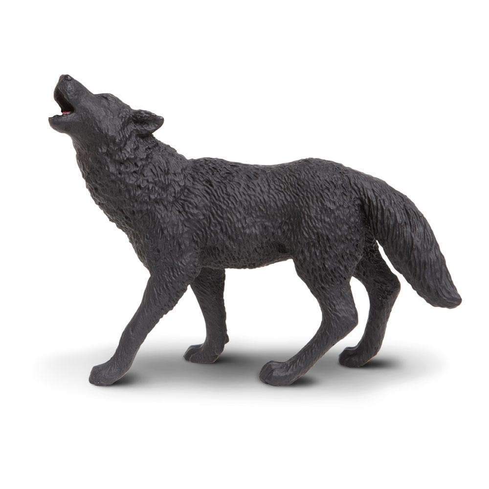 Lobo negro Safari Ltd