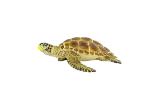 Tortuga babaua Safari Ltd.