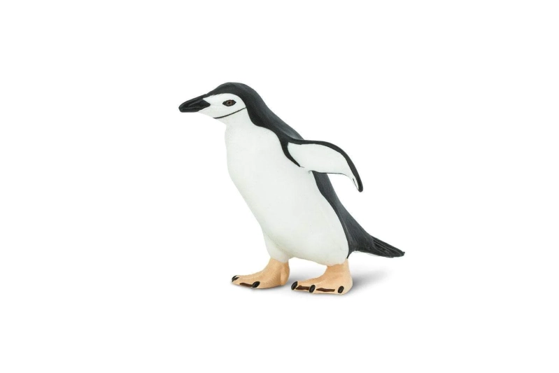 Pingüí Safari Ltd.
