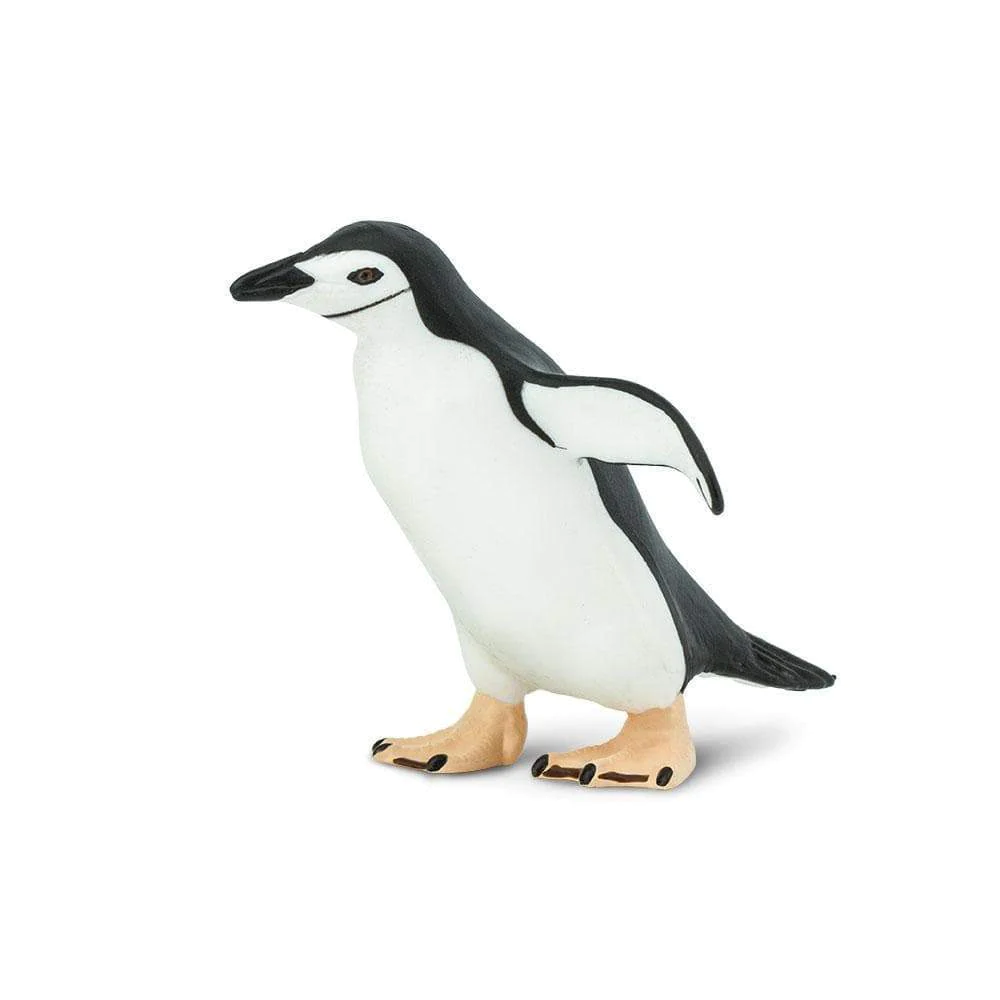 Pingüí Safari Ltd.