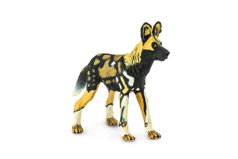 Licaó - gos salvatge africà Safari Ltd