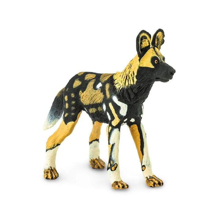 Licaó - gos salvatge africà Safari Ltd