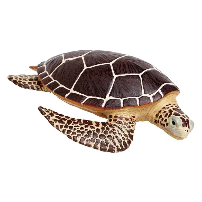 Tortuga marina XL Safari Ltd.
