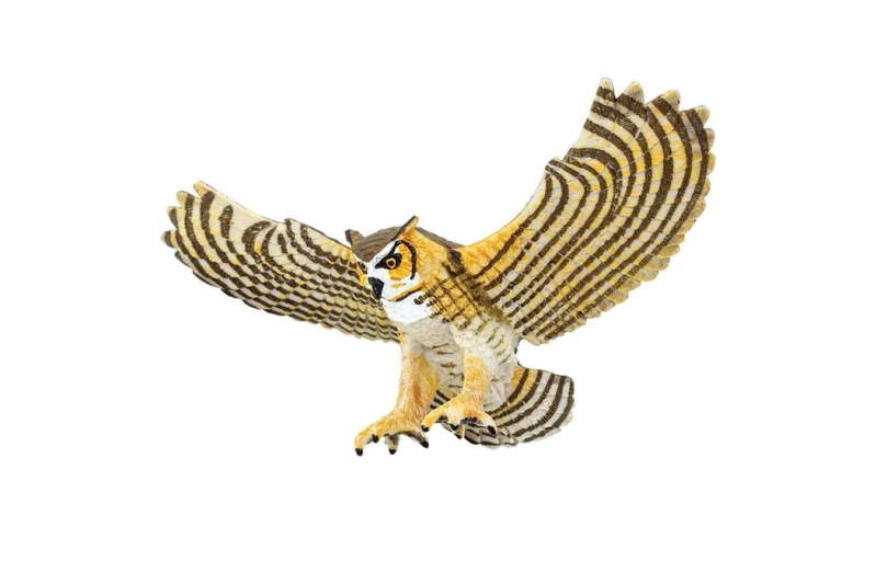 Duc banyut o americà Safari Ltd.