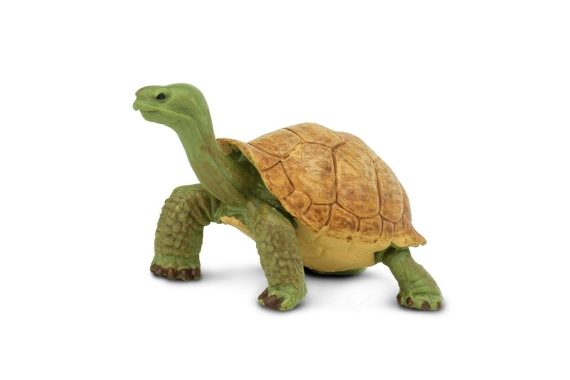 Tortuga gegant Safari Ltd.