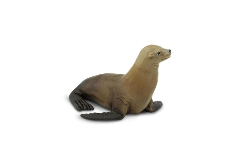 Lleó Marí Safari Ltd.