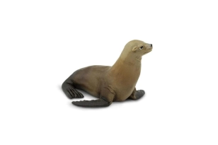 Foca lleopard Safari Ltd.