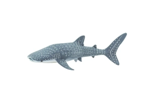 Tiburón ballena Safari Ltd.