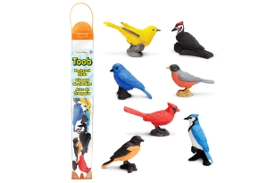 Tub de 7 aus de jardí d'Amèrcia del Nord