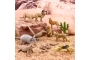 Tub d'11 animals del Desert