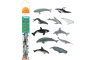 Tubo de 11 ballenas y delfines