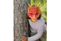 Máscara dragon rojo