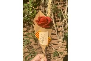 Espelma Rosa amb espiga