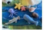 Animales marinos de fieltro