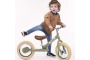 Bicicleta Trybike steel vintage verda