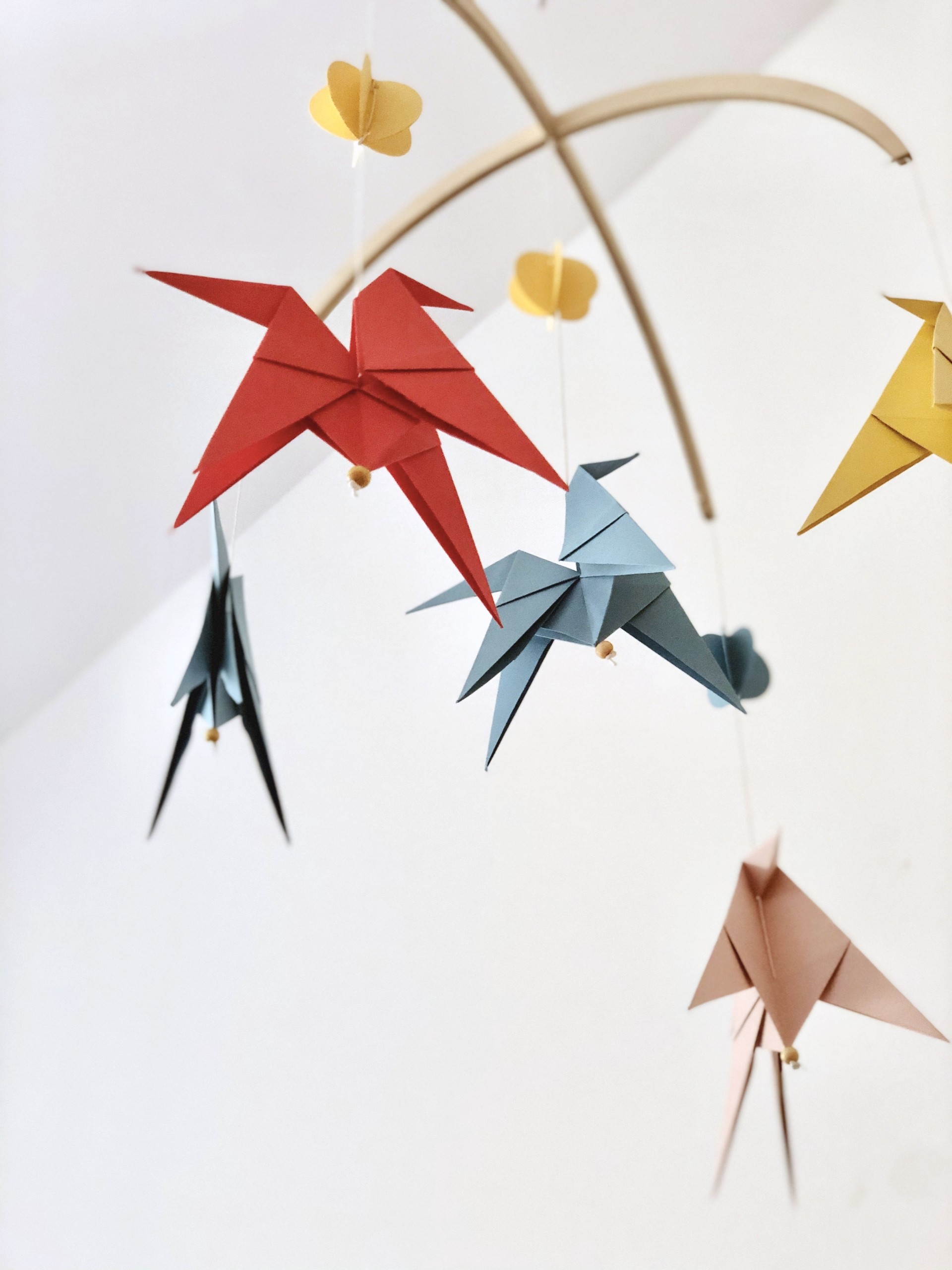 MÒBIL UMA ? CAVALL