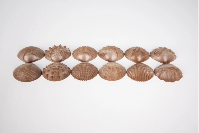 Petxina tàctil amb textures petita