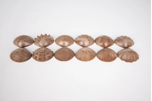 Petxina tàctil amb textures gran