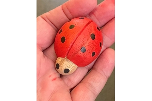 Mariquita de madera