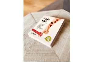 Cal cat: Tatuatges Sant Jordi