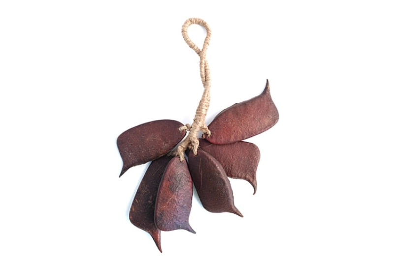 Sonajero semilla Sappan