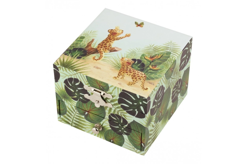 CAJA DE MÚSICA SAVANA