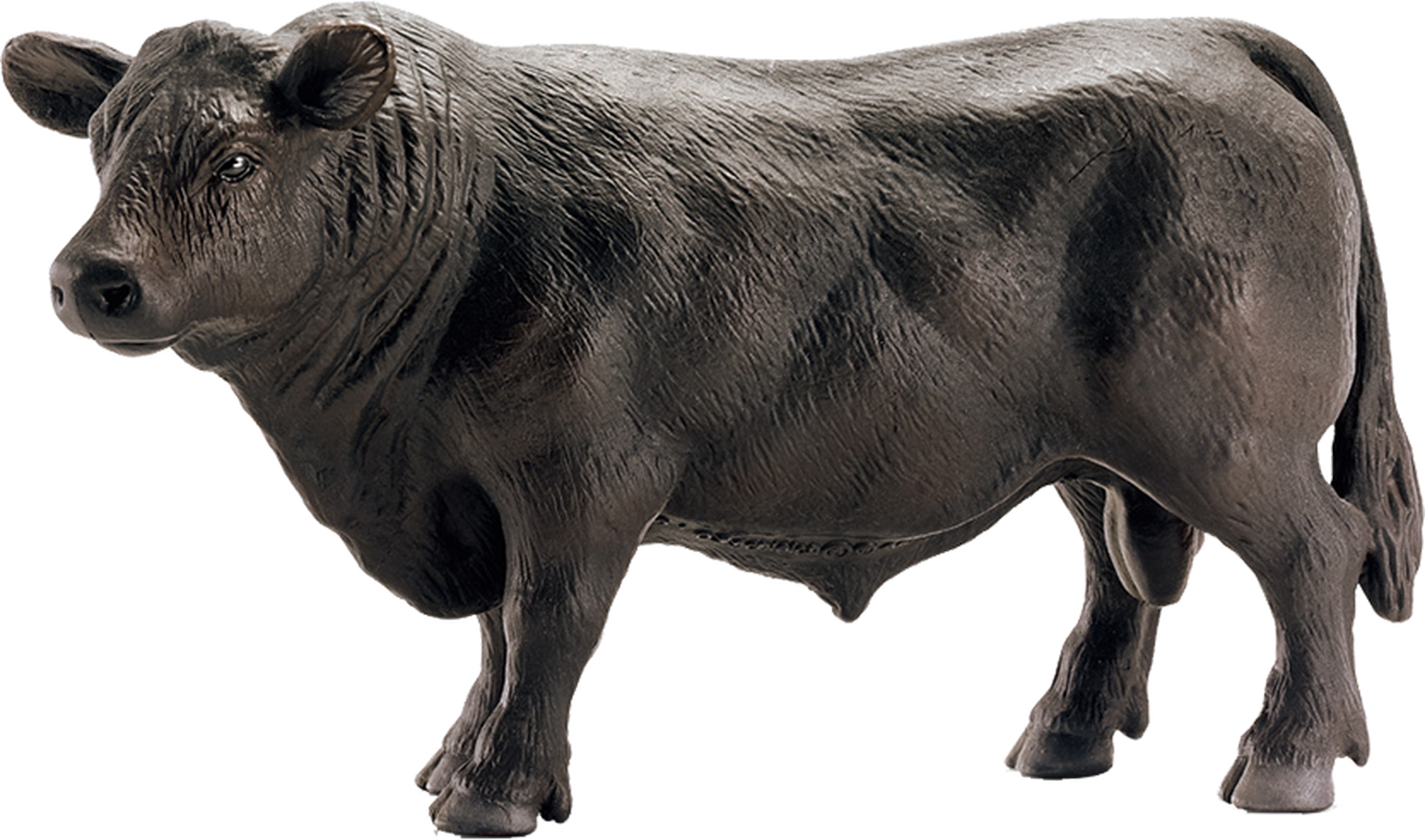 Vaca negra Angus Schleich