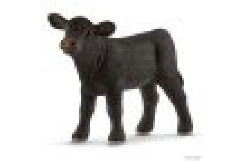 Vedell negre angust Schleich