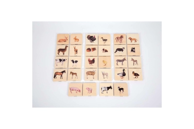 Memo de madera de animales domésticos
