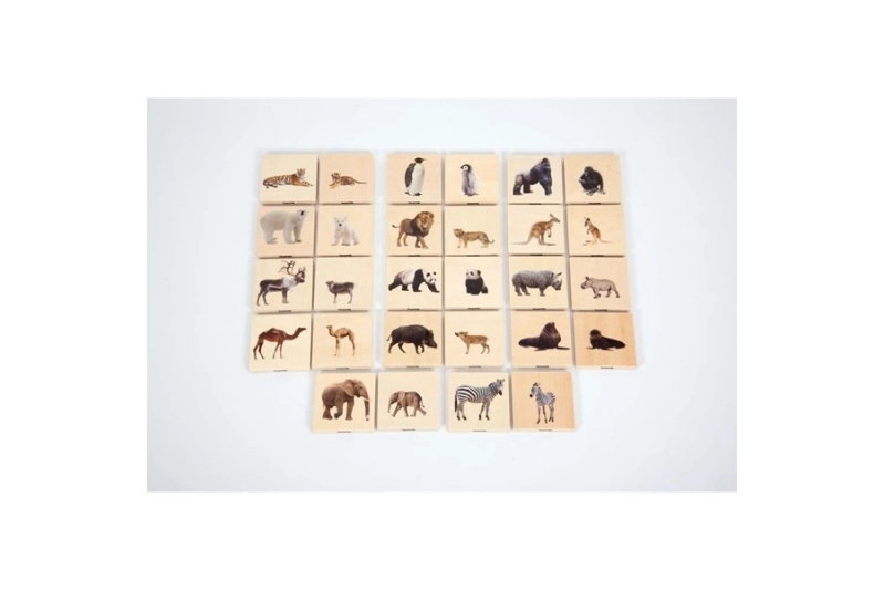 Memo de madera de animales salvajes