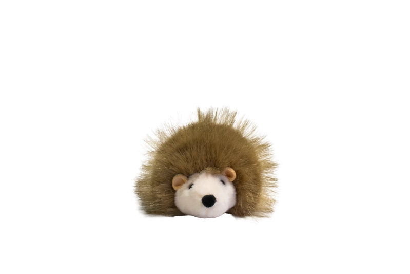Eriçó de peluix