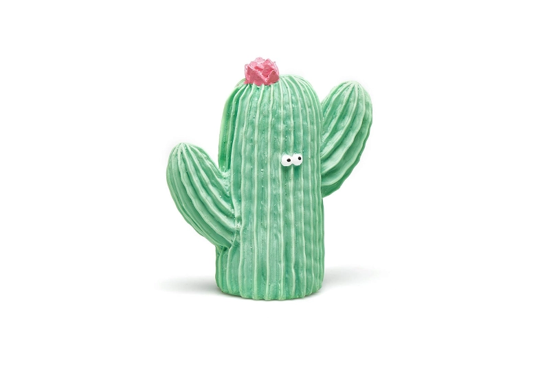 Mordedor cactus