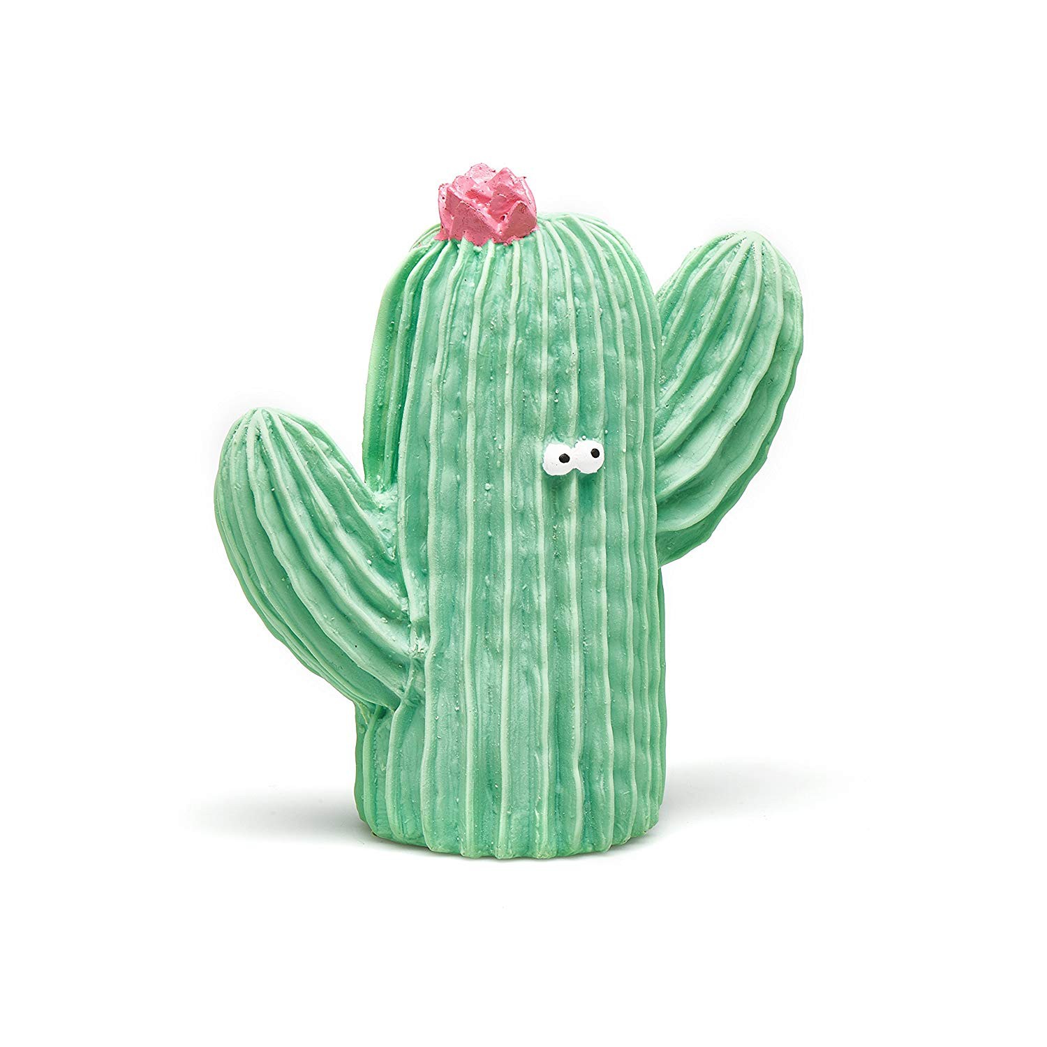 Mordedor cactus