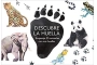 DESCUBRE LA HUELLA (ed. catastellà)