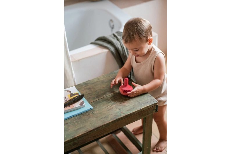 Tossut ocell rosa Grapat