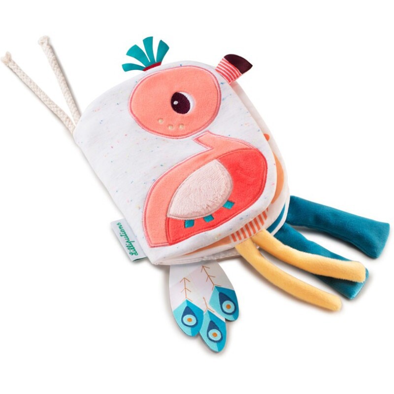 LLIBRE DIDÀCTIC "QUI ESTÀ AMAGAT DARRERA DE L'ANAÏ