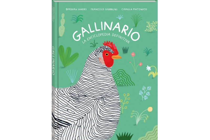 GALLINARIO (ed. castellano)