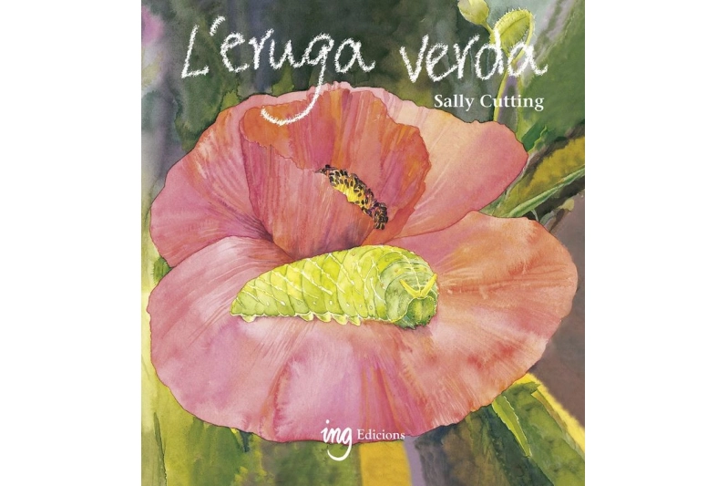 L'ERUGA VERDA (Ed. Català)