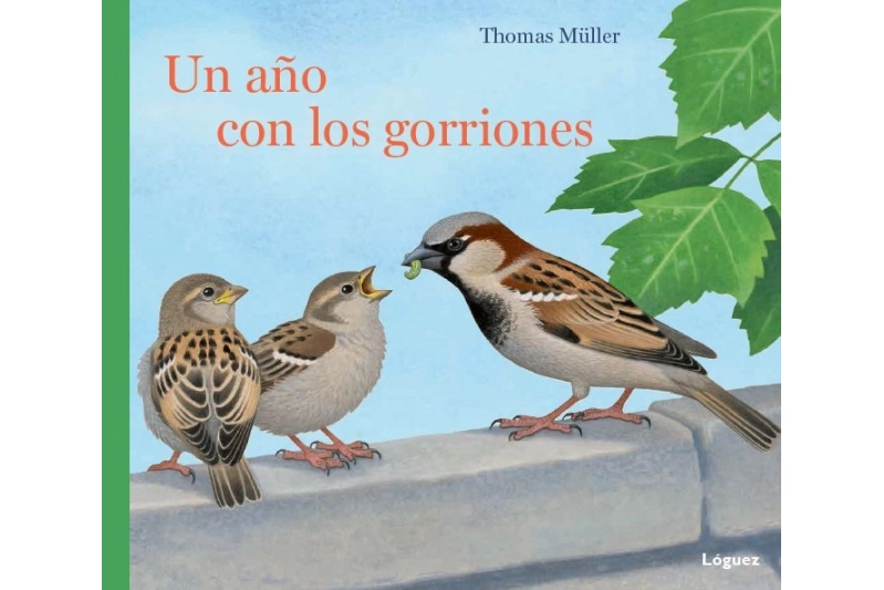  Un año con los gorriones