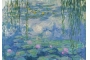 Rompecabezas 1000 piezas Monet: Waterlilies