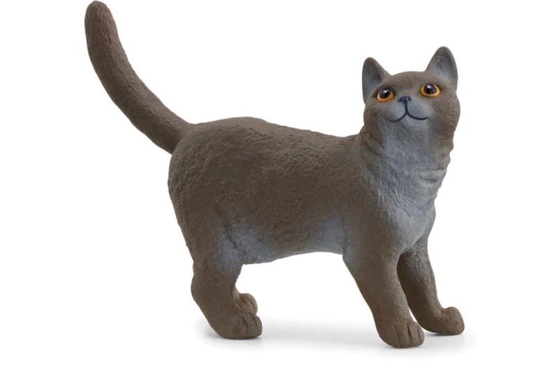 Gat britànic de pèl curt Schleich