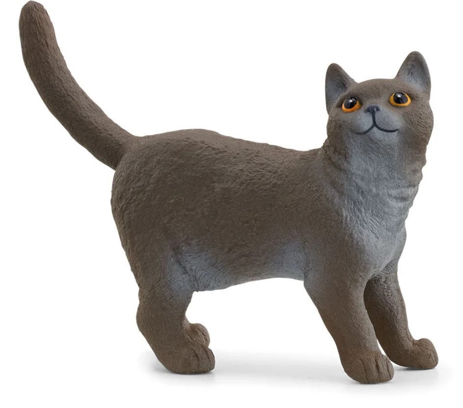 Gato británico de pelo corto Schleich